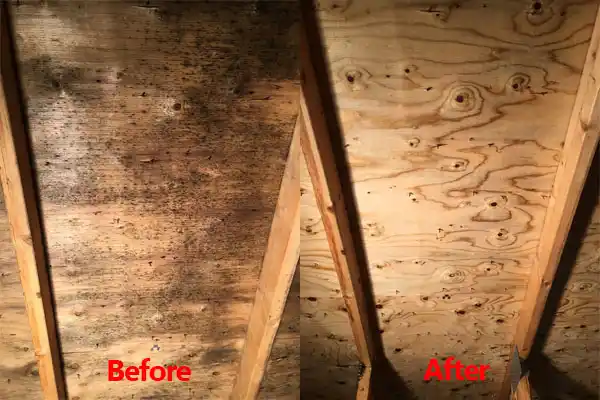 water damage restoration service Sorrento
